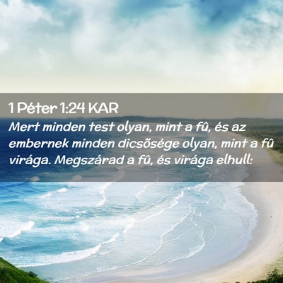Picture 02 - 1 Péter 1:24 KAR - Mert minden test olyan, mint a fû, és az - Bible Verse Picture