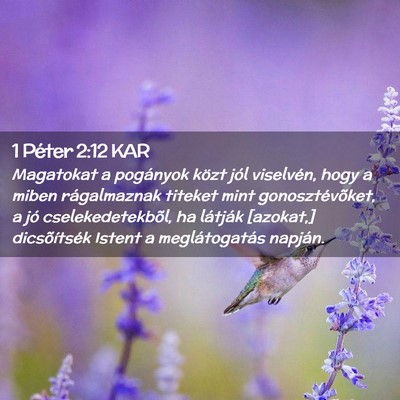 Picture 02 - 1 Péter 2:12 KAR - Magatokat a pogányok közt jól viselvén, hogy - Bible Verse Picture