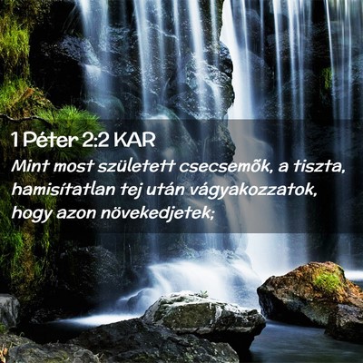 Picture 02 - 1 Péter 2:2 KAR - Mint most született csecsemõk, a tiszta, - Bible Verse Picture