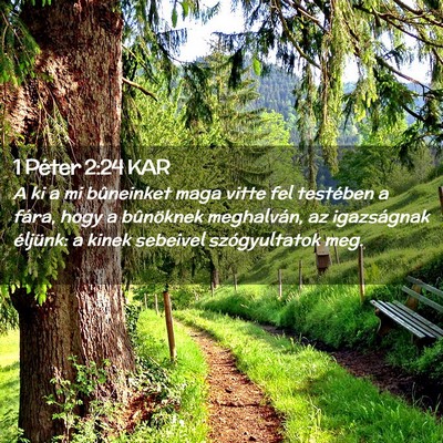 Picture 02 - 1 Péter 2:24 KAR - A ki a mi bûneinket maga vitte fel testében a - Bible Verse Picture