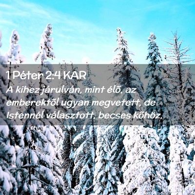Picture 02 - 1 Péter 2:4 KAR - A kihez járulván, mint élõ, az emberektõl - Bible Verse Picture