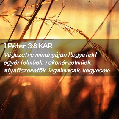 Picture 02 - 1 Péter 3:8 KAR - Végezetre mindnyájan [legyetek] egyértelmûek, - Bible Verse Picture