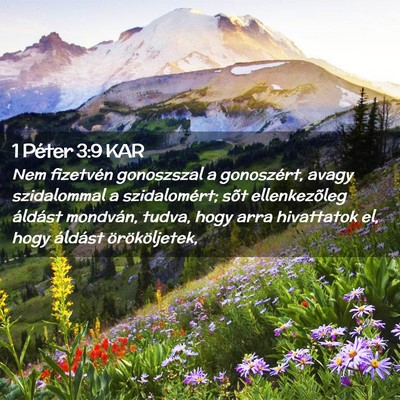 Picture 02 - 1 Péter 3:9 KAR - Nem fizetvén gonoszszal a gonoszért, avagy - Bible Verse Picture