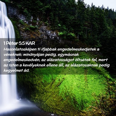 Picture 02 - 1 Péter 5:5 KAR - Hasonlatosképen ti ifjabbak engedelmeskedjetek a - Bible Verse Picture