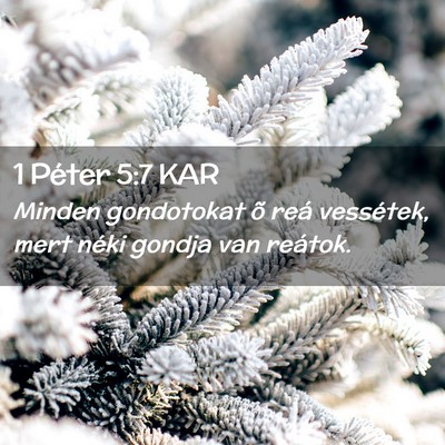 Picture 02 - 1 Péter 5:7 KAR - Minden gondotokat õ reá vessétek, mert néki - Bible Verse Picture