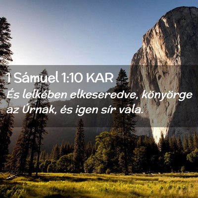 Picture 02 - 1 Sámuel 1:10 KAR - És lelkében elkeseredve, könyörge az Úrnak, - Bible Verse Picture