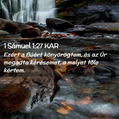 Picture 02 - 1 Sámuel 1:27 KAR - Ezért a fiúért könyörögtem, és az Úr - Bible Verse Picture