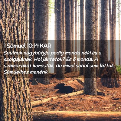 Picture 02 - 1 Sámuel 10:14 KAR - Saulnak nagybátyja pedig monda néki és a - Bible Verse Picture
