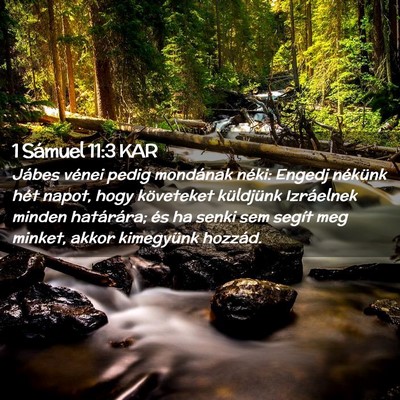 Picture 02 - 1 Sámuel 11:3 KAR - Jábes vénei pedig mondának néki: Engedj - Bible Verse Picture