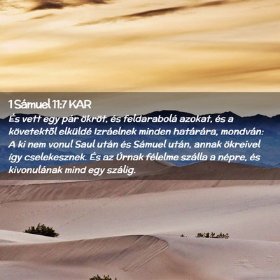Picture 02 - 1 Sámuel 11:7 KAR - És vett egy pár ökröt, és feldarabolá - Bible Verse Picture