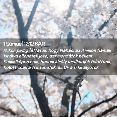 Picture 02 - 1 Sámuel 12:12 KAR - Mikor pedig láttátok, hogy Náhás, az Ammon - Bible Verse Picture