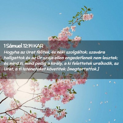 Picture 02 - 1 Sámuel 12:14 KAR - Hogyha az Urat félitek, és néki szolgáltok; - Bible Verse Picture