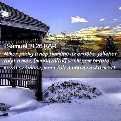 Picture 02 - 1 Sámuel 14:26 KAR - Mikor pedig a nép beméne az erdõbe, jóllehet - Bible Verse Picture