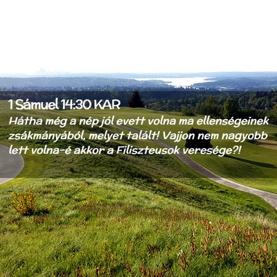 Picture 02 - 1 Sámuel 14:30 KAR - Hátha még a nép jól evett volna ma - Bible Verse Picture