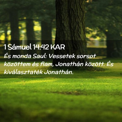 Picture 02 - 1 Sámuel 14:42 KAR - És monda Saul: Vessetek sorsot közöttem és - Bible Verse Picture