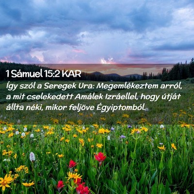Picture 02 - 1 Sámuel 15:2 KAR - Így szól a Seregek Ura: Megemlékeztem arról, - Bible Verse Picture