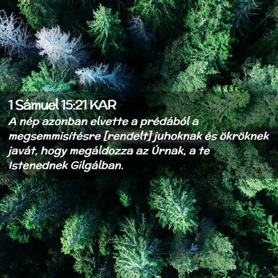 Picture 02 - 1 Sámuel 15:21 KAR - A nép azonban elvette a prédából a - Bible Verse Picture