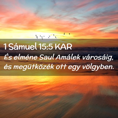Picture 02 - 1 Sámuel 15:5 KAR - És elméne Saul Amálek városáig, és - Bible Verse Picture
