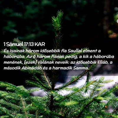 Picture 02 - 1 Sámuel 17:13 KAR - És Isainak három idõsebbik fia Saullal elment - Bible Verse Picture