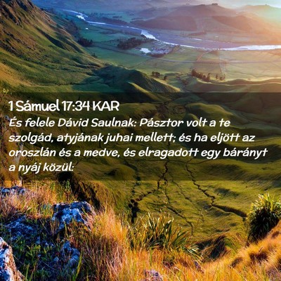 Picture 02 - 1 Sámuel 17:34 KAR - És felele Dávid Saulnak: Pásztor volt a te - Bible Verse Picture