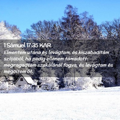 Picture 02 - 1 Sámuel 17:35 KAR - Elmentem utána és levágtam, és kiszabadítám - Bible Verse Picture
