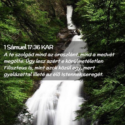 Picture 02 - 1 Sámuel 17:36 KAR - A te szolgád mind az oroszlánt, mind a medvét - Bible Verse Picture