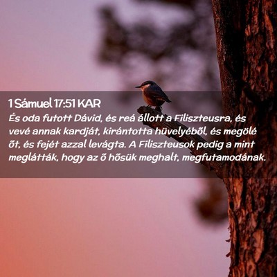 Picture 02 - 1 Sámuel 17:51 KAR - És oda futott Dávid, és reá állott a - Bible Verse Picture