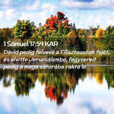 Picture 02 - 1 Sámuel 17:54 KAR - Dávid pedig felvevé a Filiszteusnak fejét, és - Bible Verse Picture
