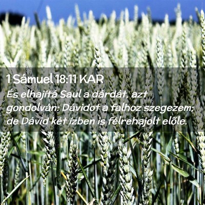 Picture 02 - 1 Sámuel 18:11 KAR - És elhajítá Saul a dárdát, azt gondolván: - Bible Verse Picture