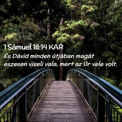 Picture 02 - 1 Sámuel 18:14 KAR - És Dávid minden útjában magát eszesen viseli - Bible Verse Picture