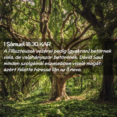 Picture 02 - 1 Sámuel 18:30 KAR - A Filiszteusok vezérei pedig [gyakran] betörnek - Bible Verse Picture