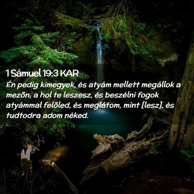 Picture 02 - 1 Sámuel 19:3 KAR - Én pedig kimegyek, és atyám mellett megállok - Bible Verse Picture