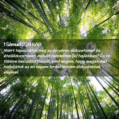 Picture 02 - 1 Sámuel 2:29 KAR - Miért tapossátok meg az én véres áldozatomat - Bible Verse Picture