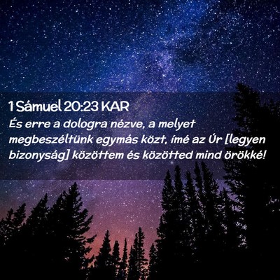 Picture 02 - 1 Sámuel 20:23 KAR - És erre a dologra nézve, a melyet - Bible Verse Picture