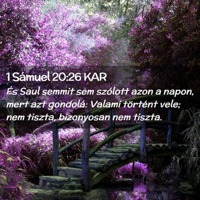 Picture 02 - 1 Sámuel 20:26 KAR - És Saul semmit sem szólott azon a napon, mert - Bible Verse Picture