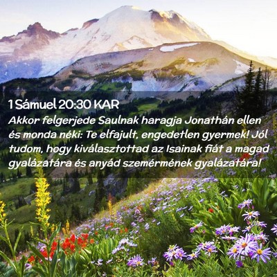Picture 02 - 1 Sámuel 20:30 KAR - Akkor felgerjede Saulnak haragja Jonathán ellen - Bible Verse Picture