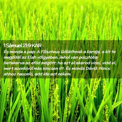 Picture 02 - 1 Sámuel 21:9 KAR - És monda a pap: A Filiszteus Góliáthnak a - Bible Verse Picture