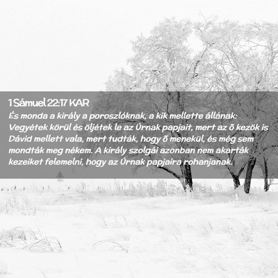 Picture 02 - 1 Sámuel 22:17 KAR - És monda a király a poroszlóknak, a kik - Bible Verse Picture