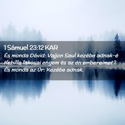 Picture 02 - 1 Sámuel 23:12 KAR - És monda Dávid: Vajjon Saul kezébe adnak-é - Bible Verse Picture