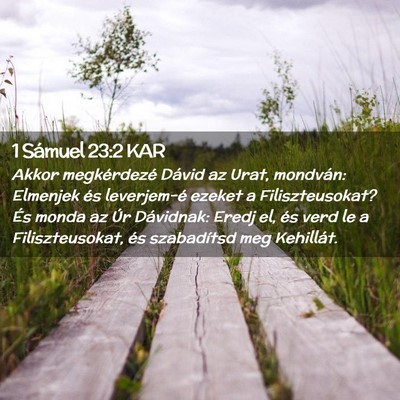 Picture 02 - 1 Sámuel 23:2 KAR - Akkor megkérdezé Dávid az Urat, mondván: - Bible Verse Picture