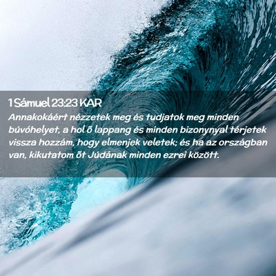 Picture 02 - 1 Sámuel 23:23 KAR - Annakokáért nézzetek meg és tudjatok meg - Bible Verse Picture