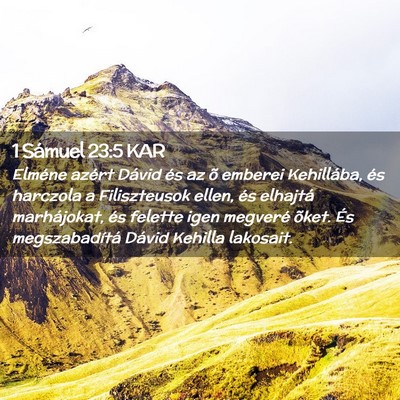 Picture 02 - 1 Sámuel 23:5 KAR - Elméne azért Dávid és az õ emberei - Bible Verse Picture