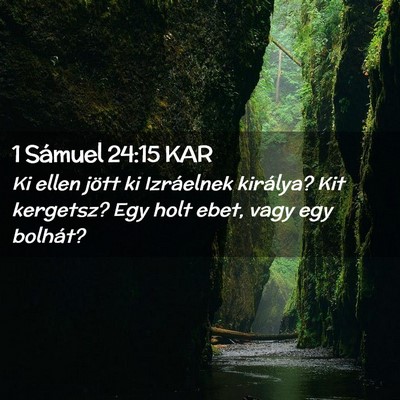 Picture 02 - 1 Sámuel 24:15 KAR - Ki ellen jött ki Izráelnek királya? Kit - Bible Verse Picture