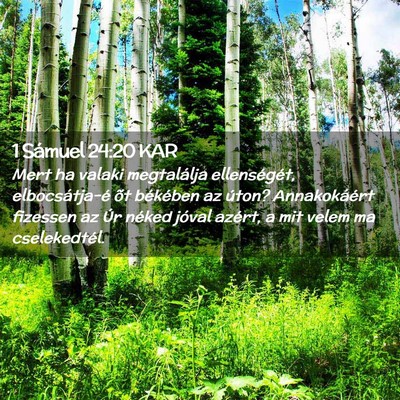 Picture 02 - 1 Sámuel 24:20 KAR - Mert ha valaki megtalálja ellenségét, - Bible Verse Picture