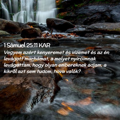 Picture 02 - 1 Sámuel 25:11 KAR - Vegyem azért kenyeremet és vizemet és az én - Bible Verse Picture