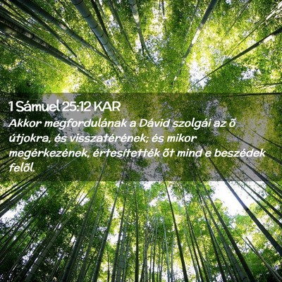 Picture 02 - 1 Sámuel 25:12 KAR - Akkor megfordulának a Dávid szolgái az õ - Bible Verse Picture