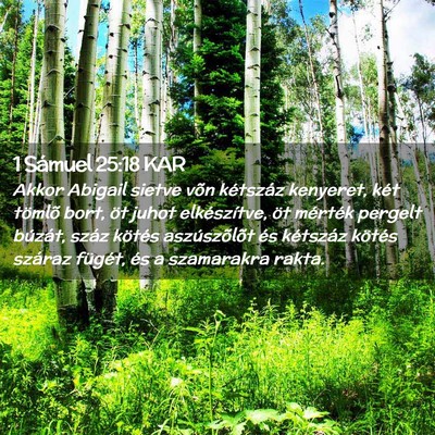 Picture 02 - 1 Sámuel 25:18 KAR - Akkor Abigail sietve võn kétszáz kenyeret, - Bible Verse Picture