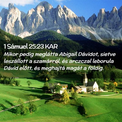 Picture 02 - 1 Sámuel 25:23 KAR - Mikor pedig meglátta Abigail Dávidot, sietve - Bible Verse Picture