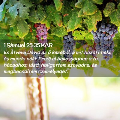 Picture 02 - 1 Sámuel 25:35 KAR - És átvevé Dávid az õ kezébõl, a mit hozott - Bible Verse Picture