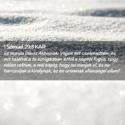 Picture 02 - 1 Sámuel 29:8 KAR - És monda Dávid Ákhisnak: Vajjon mit - Bible Verse Picture